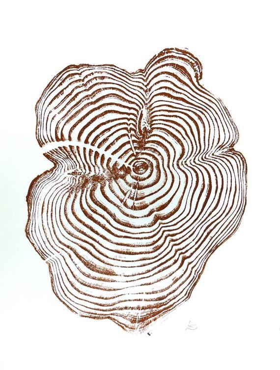 Sequoia National Park, Tree Ring Art, California Coast, Mountain Artwork, wood slice wall art
