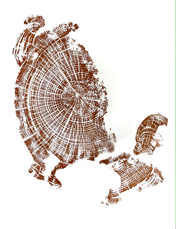 Oregon Coast, Driftwood Wall Art, Tree Ring Print, Cascade Mountains, Woodcut Art