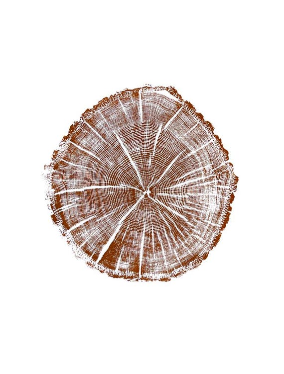Maine Tree ring print, York Maine, Oak tree print, Oak tree art, Original Woodcut print, Tree stamp art, Linton Art