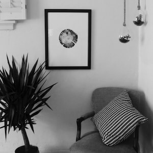 May include: A black and white framed print of a tree ring hangs on a white wall. A potted yucca plant sits on the floor next to a gray armchair with a black and white checkered pillow.