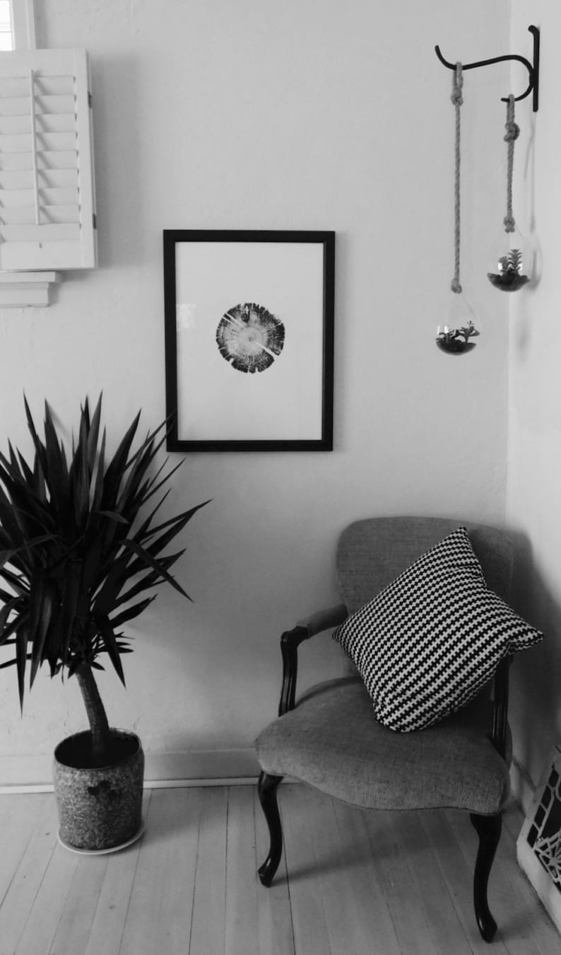 May include: A black and white framed print of a tree ring hangs on a white wall. A potted yucca plant sits on the floor next to a gray armchair with a black and white checkered pillow.