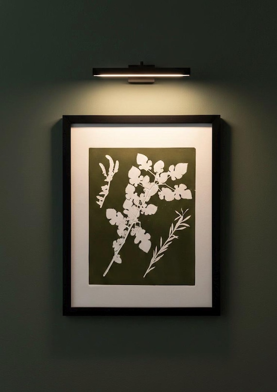 Comparative Study of Botanical Forms, Original Monoprint 18x24 inches, Signed original, one of one