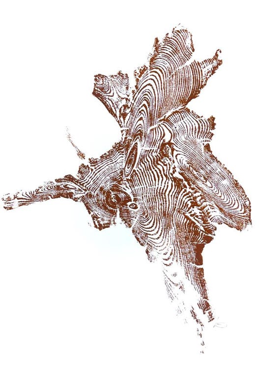 Idaho Wall Art, Wood Wall Art, Tree ring print, Woodcut print, Woodburning art, Abstract botanical, Maodern botanical art, Signed original