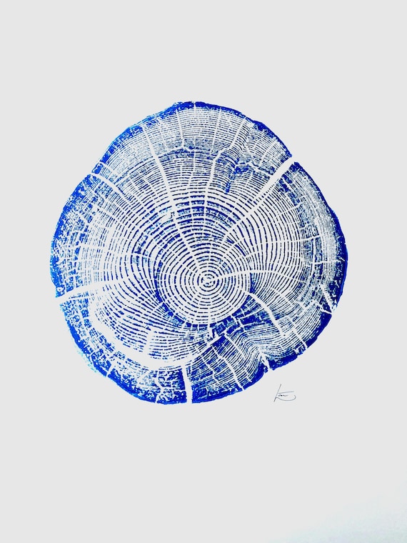 Montana Tree, Flathead Lake, Montana, Driftwood, tree stump, Montana print, forest art print, natural textures, natural patterns, LintonArt