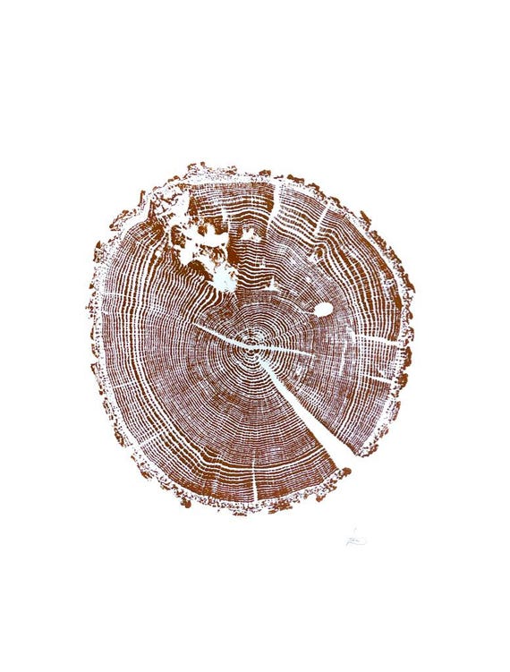 Ozark Mountains Oak, Tree ring Art Print, 18x24 inches, Woodcut art print, Tree ring art by Erik Linton