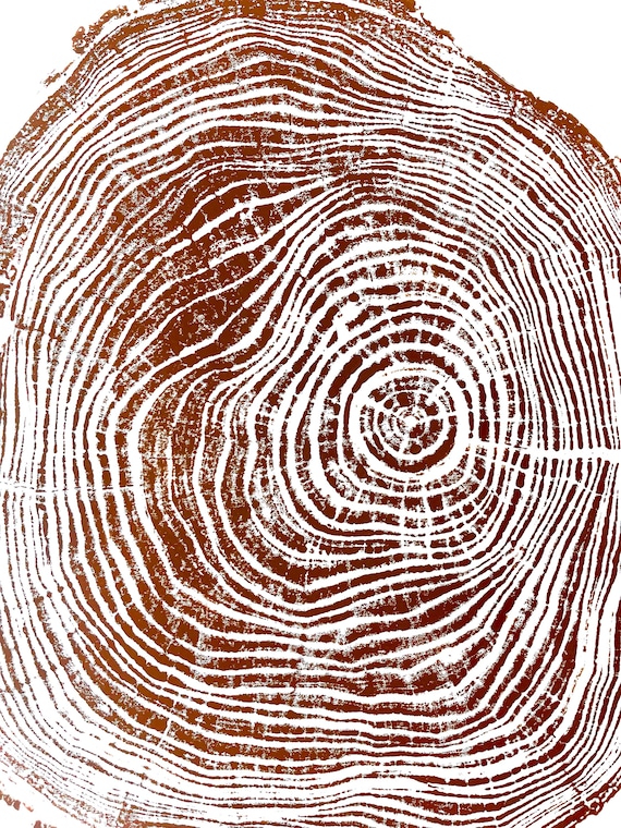 Locust Tree, Brown Tree Ring Print, Live Edge, Wood Wall Art, Woodcut print, Wood Burning Art, Tree Trunk, Utah Print, Signed Original 18x24