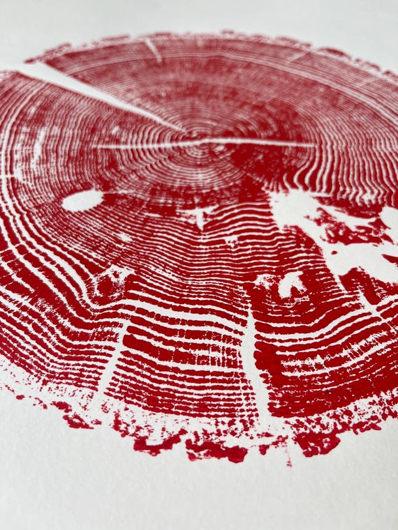 Ozark Mountains Oak, Tree ring Art Print, 18x24 inches, Woodcut art print, Tree ring art by Erik Linton