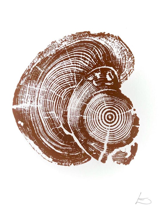 Utah State, Millcreek Canyon, Great Salt Lake, Flora Decor, Ecology art, Utah Artist, Blue Spruce, Ski Art