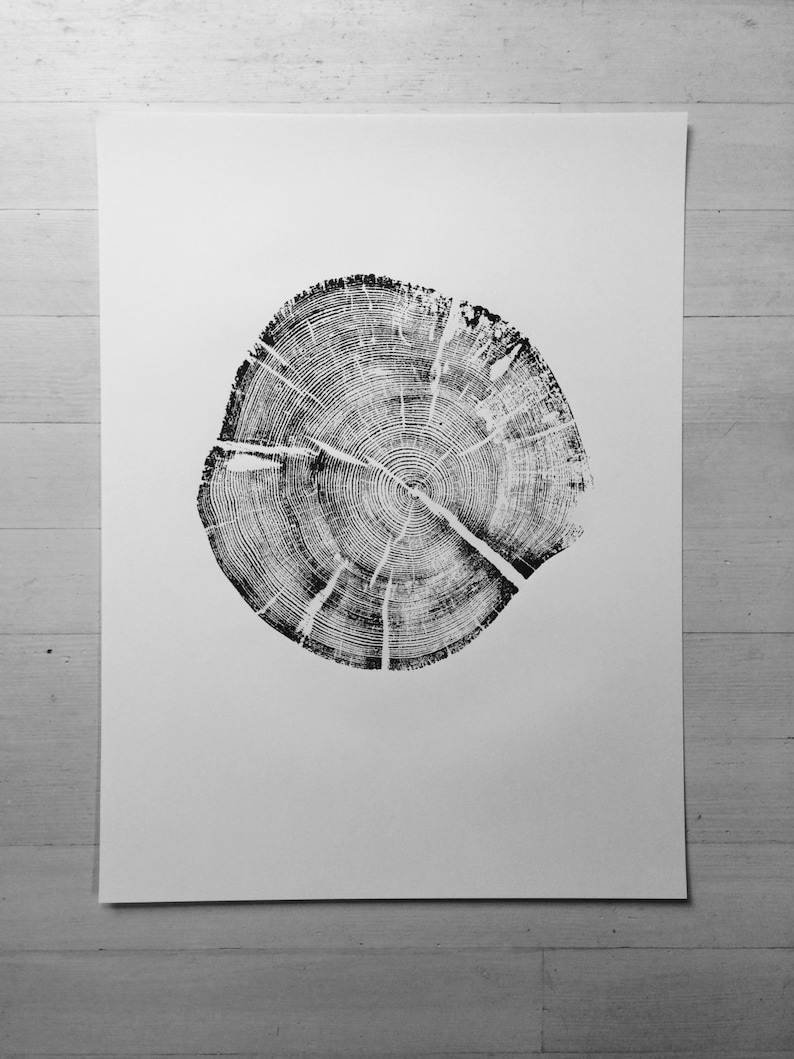 Triptych Tree Ring Art Tree Ring Art Prints From Alaska Etsy