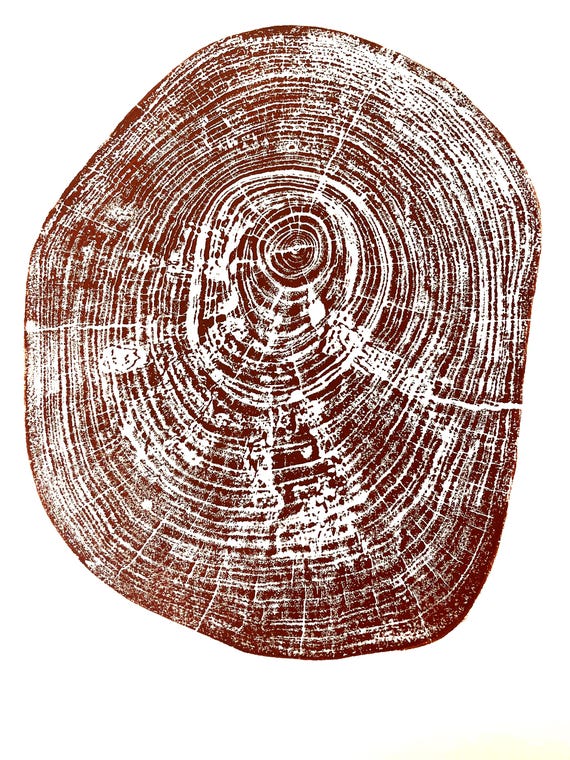 Texas Art Print, Pecan Tree, Waco Texas, Tree Ring Print, Austin TX, Natural Wood Slices