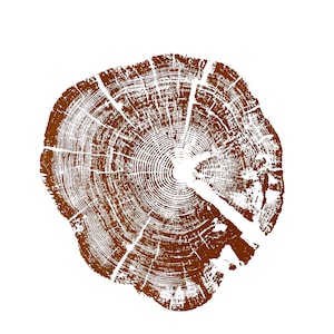Glacier National Park, Montana Art, Tree ring art, Woodcut print, Tree ring art print, Christmas Tree, Arborist gifts