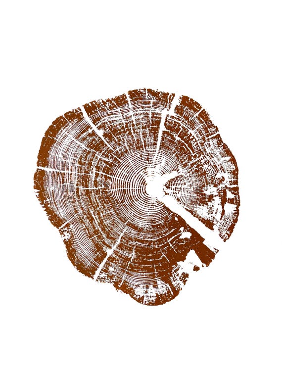 Glacier National Park, Montana Art, Tree ring art, Woodcut print, Tree ring art print, Christmas Tree, Arborist gifts