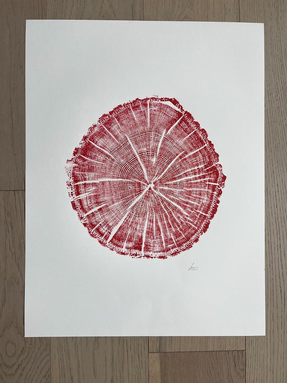 Maine Tree ring print, York Maine, Oak tree print, Oak tree art, Original Woodcut print, Tree stamp art, Linton Art