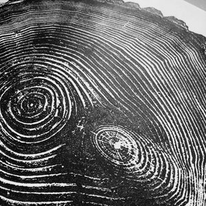 May include: Black and white close-up image of a tree trunk cross-section, showing the concentric rings of growth. The rings are uneven and have a rough texture.