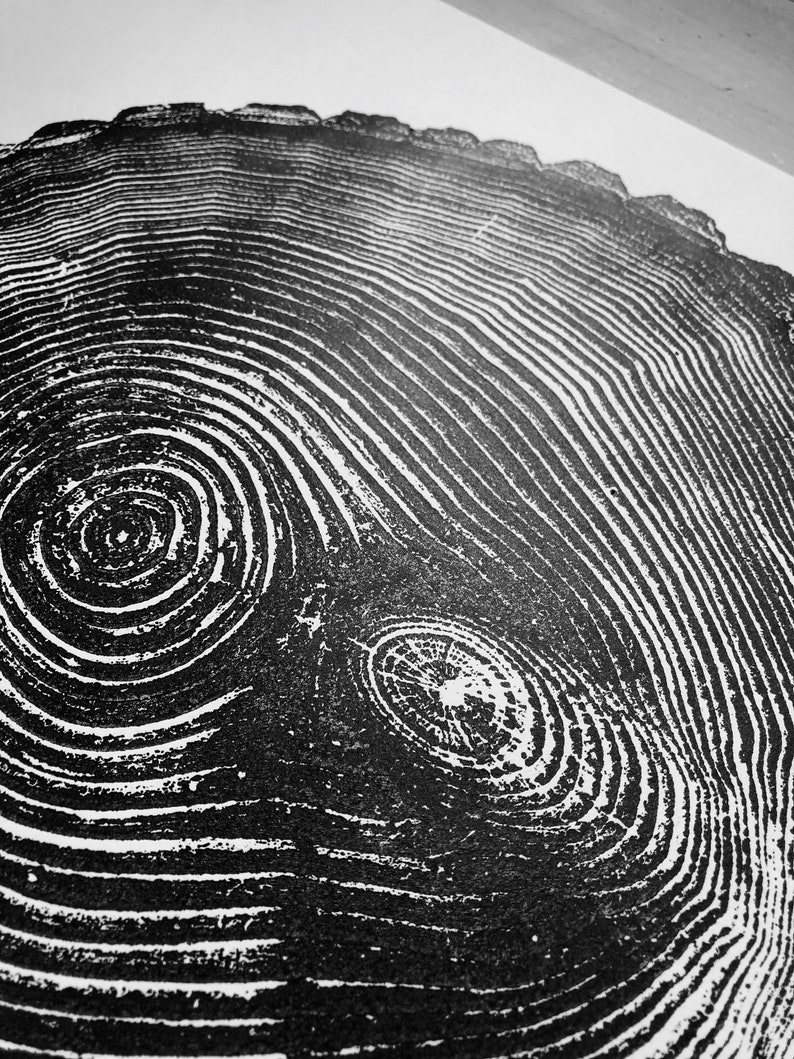 May include: Black and white close-up image of a tree trunk cross-section, showing the concentric rings of growth. The rings are uneven and have a rough texture.