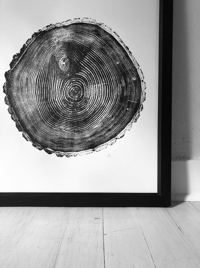 May include: Black and white print of a tree trunk cross-section, showing the rings of growth. The print is framed in a black frame and is hanging on a white wall.