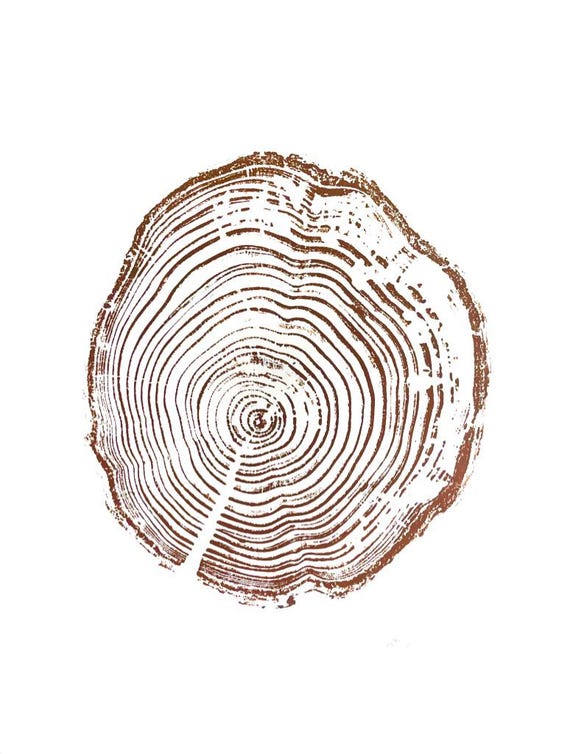 California Redwood, 30 years, 18x24 inch print, San Francisco Art, tree ring art, wood slice, wedding tree, Woodcut print, by Erik Linton
