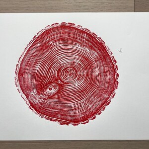 Maine Print, Forestcore art, Balm of Gilead, Tree ring print, Maine Poster, Arcadia, Arborist, Forestry, Live Edge wood, Signed original Red
