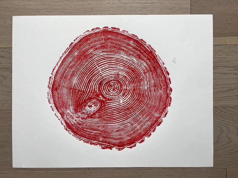 Maine Print, Forestcore art, Balm of Gilead, Tree ring print, Maine Poster, Arcadia, Arborist, Forestry, Live Edge wood, Signed original Red