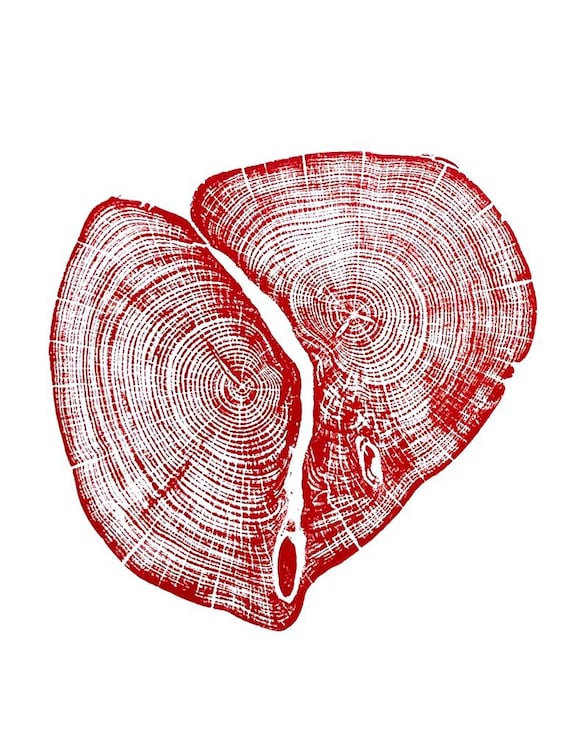 Waco Texas, Temple Texas, Cedar Tree ring print, Tree stump art, Original Woodcut print, Woodblock print, Linton Art