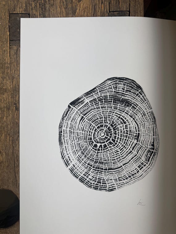Black Walnut Tree Ring Print – McCurtain County, Oklahoma – 18x24 Original Signed