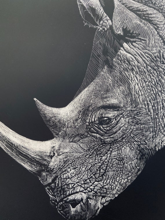 Etching of a Rhino, 18x24 inch giclee print, Rhino art, Etching by Erik Linton