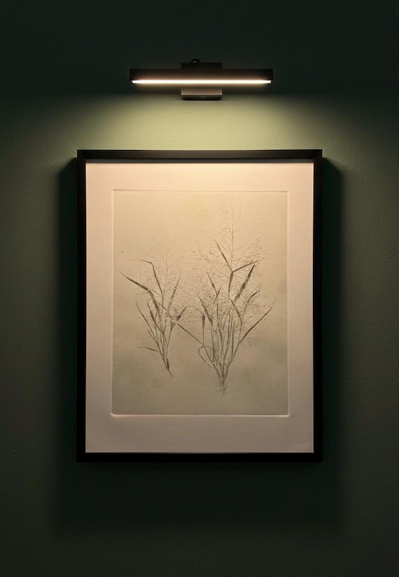 Collected Grass: A Botanical Study, original botanical monoprint, Signed original, one of one