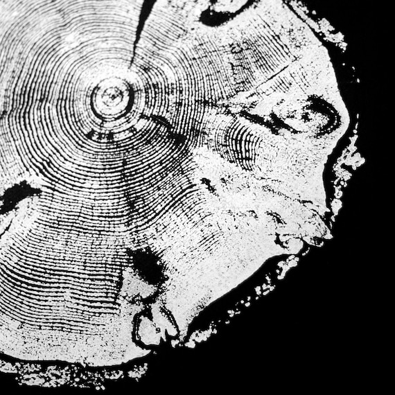 Tree ring Print, Woodcut print, Arborist Gift, Utah Art, Biology Art