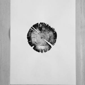 Tree Ring Print, Utah Art, Lodge Pole Pine, Tree Blocks, Biology Gifts, Wood Burning Art, 18x24, Signed Original image 9