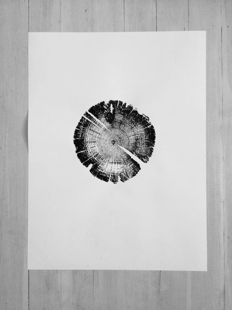 Tree Ring Print, Utah Art, Lodge Pole Pine, Tree Blocks, Biology Gifts, Wood Burning Art, 18x24, Signed Original image 9