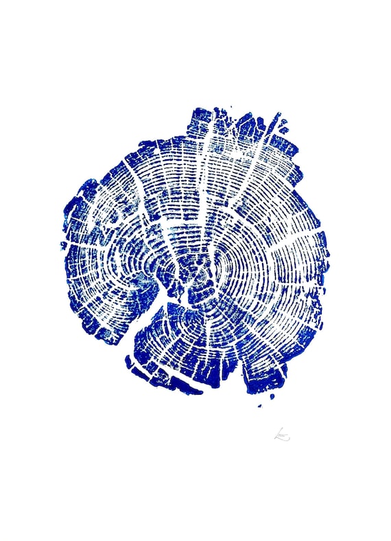 Yellowstone National Park, Tree rings print, Wyoming Art, Wood Slice Wall Art, Blue tree ring