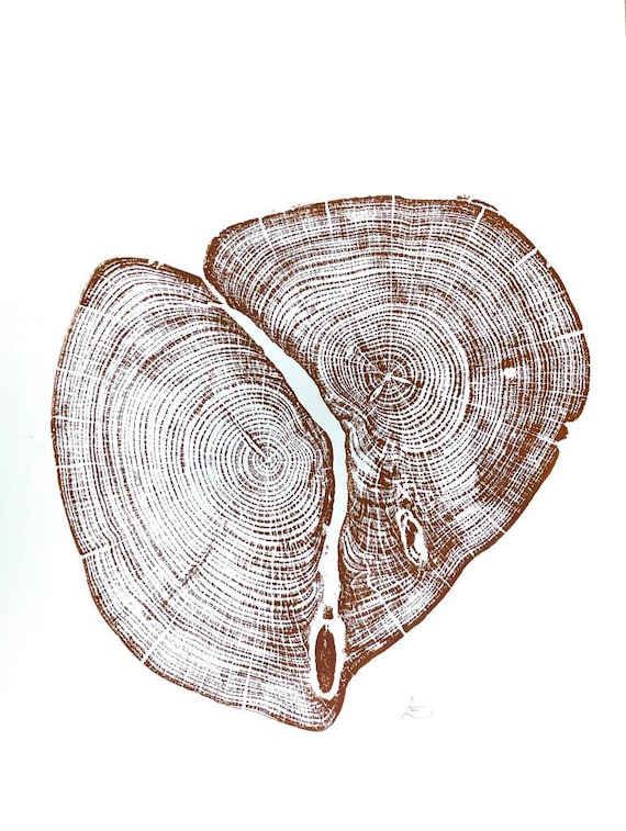 Waco Texas, Temple Texas, Cedar Tree ring print, Tree stump art, Original Woodcut print, Woodblock print, Linton Art