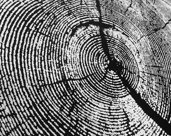 Tree ring art print, White on Black Print, Rock Canyon Pine, Tree ring print, Tree ring art, Tree rings, Tree art, Wood art, Live edge tree