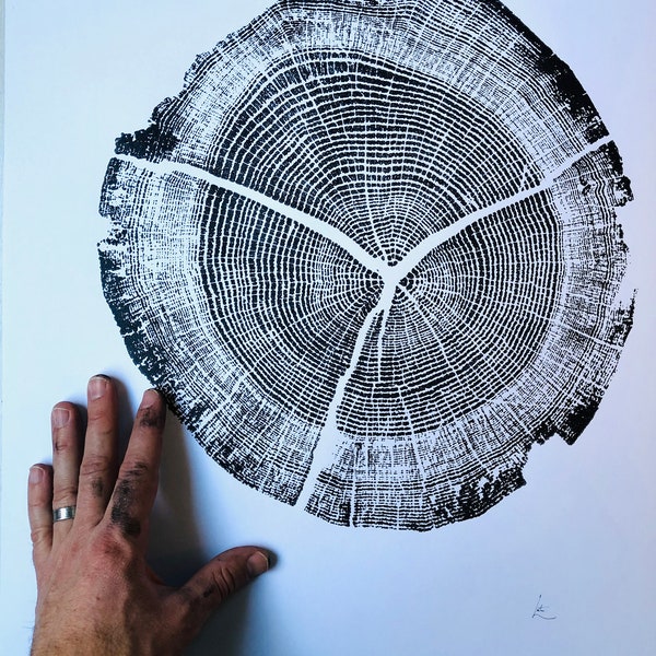 Tree Ring Art Etsy