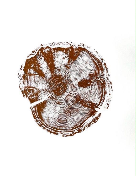 Pine tree art, Tree ring art print, nature inspired art, tree stump art, woodcut print, Christmas art, Holiday wall art, tree lover gift
