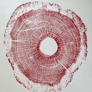 North Carolina Art, Tree ring print, Tree Hugger, Biology Art, oak tree art, log print