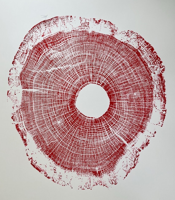 North Carolina Art, Tree ring print, Tree Hugger, Biology Art, oak tree art, log print