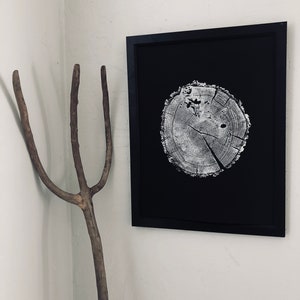 May include: A black framed print of a white tree ring on a black background.