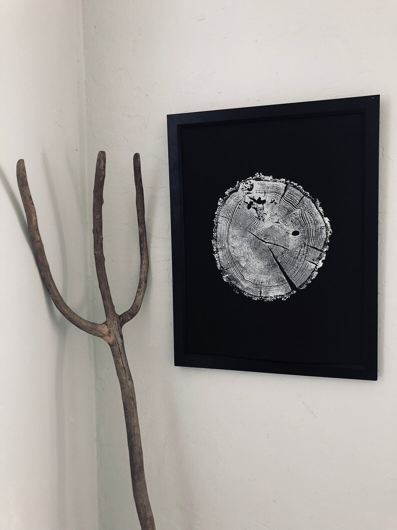 May include: A black framed print of a white tree ring on a black background.
