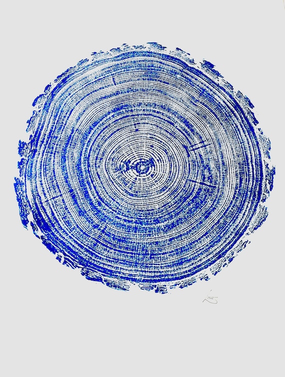 Blue Colorado Tree Art, Rocky Mountains, Pine Tree Art, Tree ring Print, Woodcut Print