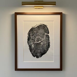 Osage Orange, Tree ring print, Nauvoo, Illinois art, 18x24 tree ring print, Original woodcut art, Handmade tree print by Erik Linton