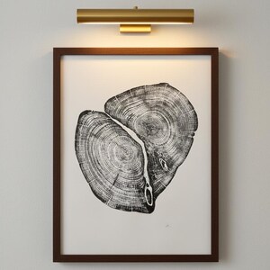 Waco Texas, Temple Texas, Cedar Tree ring print, Alpine Modern, Tree stump art, Original Woodcut print, Woodblock print, Linton Art