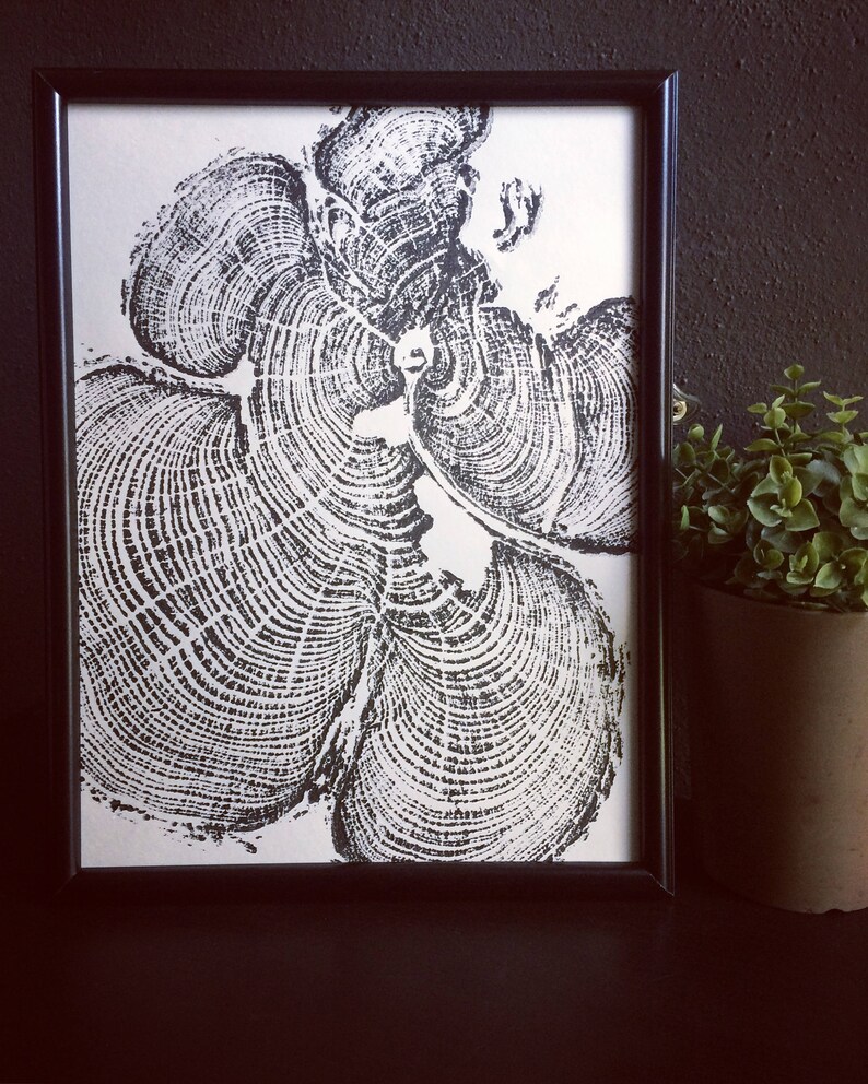 May include: Black and white print of a tree's cross-section, showing the rings of growth. The print is framed in a black frame and is displayed on a black surface.