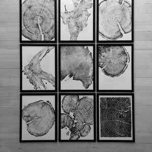 May include: Nine black framed prints of tree rings in various patterns and sizes. The prints are arranged in three rows of three.