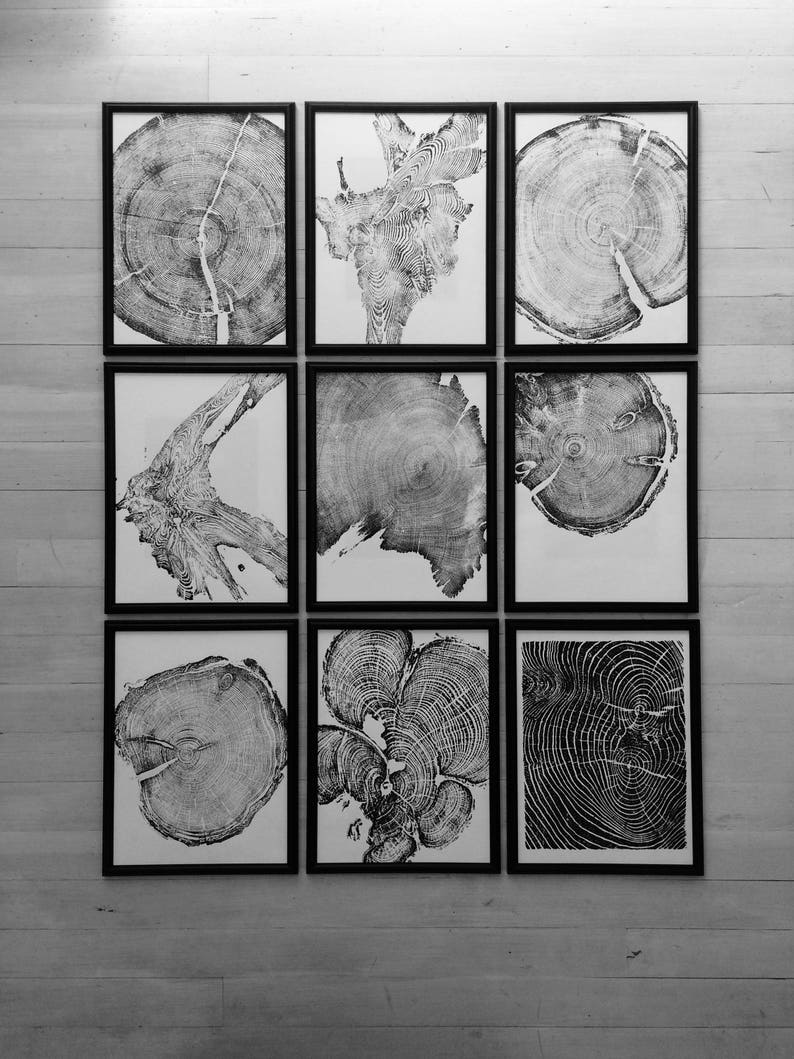 May include: Nine black framed prints of tree rings in various patterns and sizes. The prints are arranged in three rows of three.