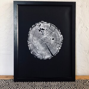 May include: Black and white print of a tree trunk cross section, showing the rings, in a black frame.