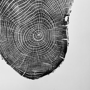 Connecticut Ash, Tree Ring Print, Tree Print, New Haven, Yale Tree ...