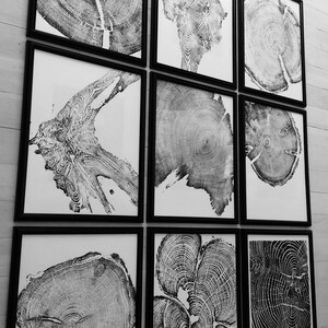 May include: A set of nine black framed prints featuring black and white images of tree rings. The prints are arranged in a grid pattern on a white wall.