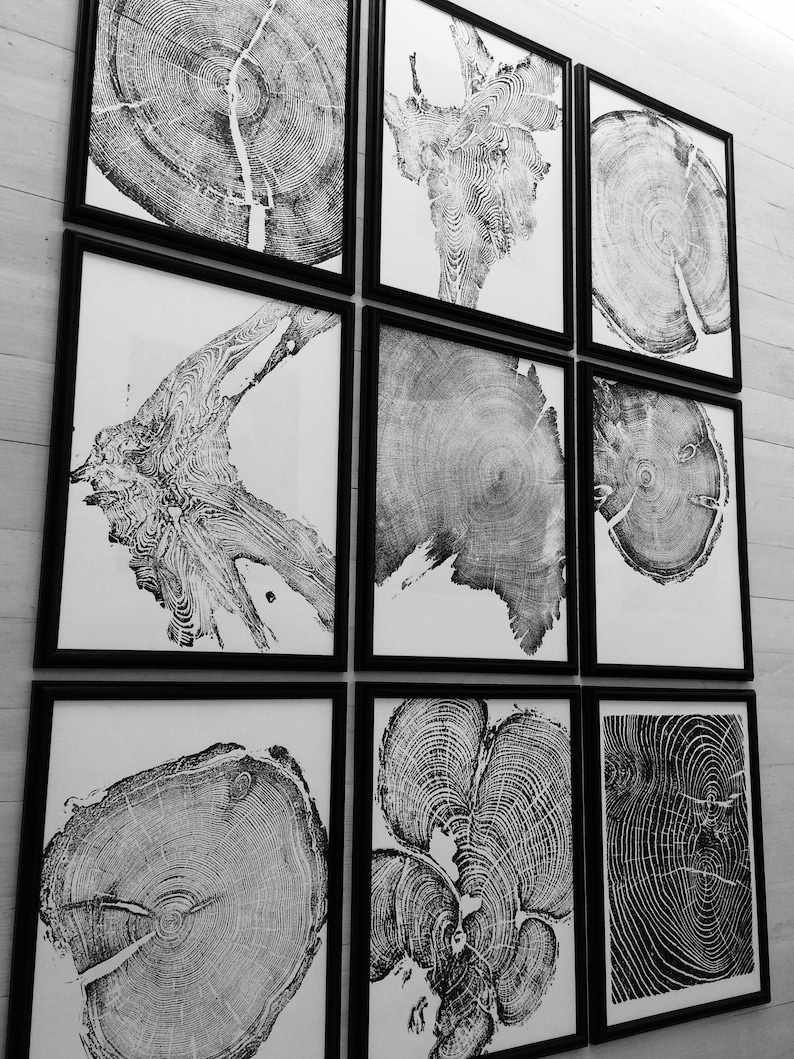 May include: A set of nine black framed prints featuring black and white images of tree rings. The prints are arranged in a grid pattern on a white wall.