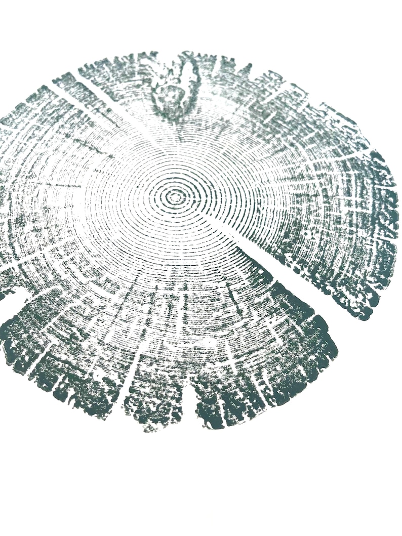 Tree Ring Print, Utah Art, Lodge Pole Pine, Tree Blocks, Biology Gifts, Wood Burning Art, 18x24, Signed Original Sage Green